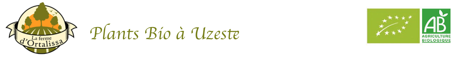 La ferme d'Ortalissa